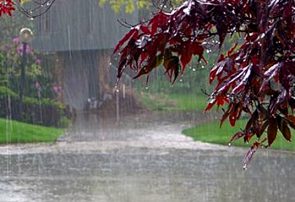 افت ۱۶ درصدی بارش‌های امسال نسبت به سال‌های نرمال