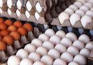 ضرورت خرید و جمع آوری ۳۰ هزارتن تخم مرغ مازاد