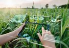 تخمین سطح زیرکشت ۱۳ محصول راهبردی کشاورزی کشور با هوش مصنوعی