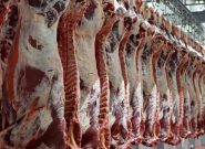 چالش‌های واردکنندگان گوشت قرمز بررسی شد