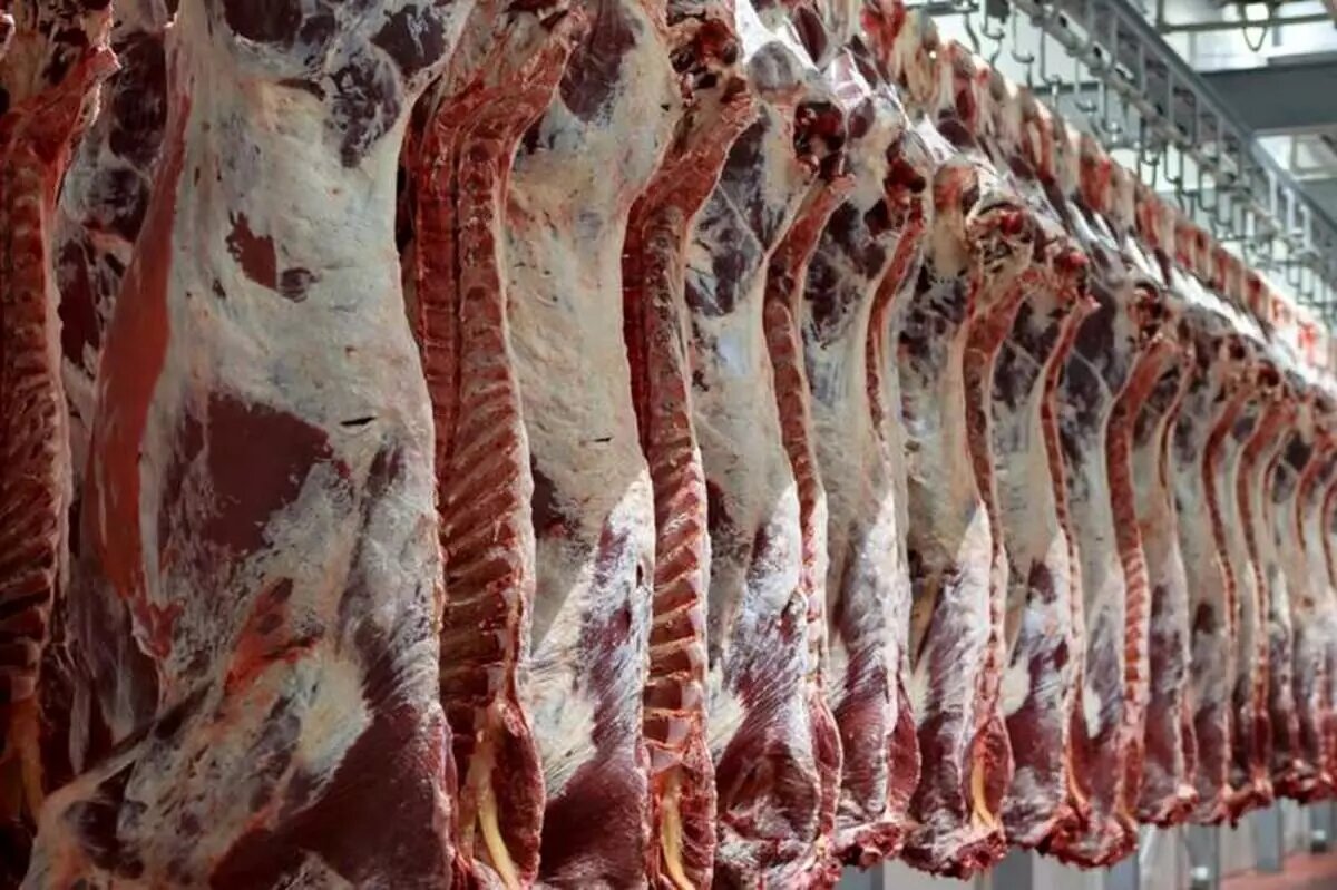 چالش‌های واردکنندگان گوشت قرمز بررسی شد