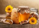 محصولات زنبور عسل معاف از پرداخت مالیات بر ارزش افزوده می‌شوند
