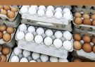 هدفگذاری صادرات ۱۵۰ هزار تن تخم مرغ در سال ۱۴۰۳