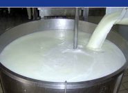 افزایش تولید شیرخام به بیش از ۱۴ میلیون تن تا افق ۱۴۰۴