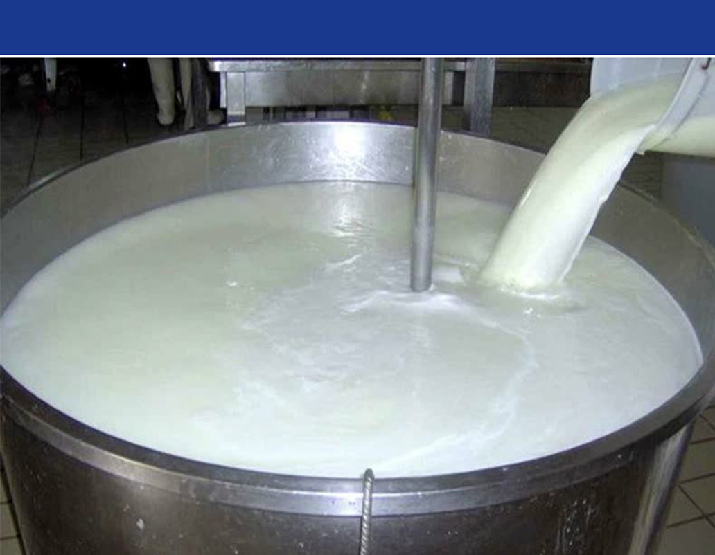 افزایش تولید شیرخام به بیش از ۱۴ میلیون تن تا افق ۱۴۰۴