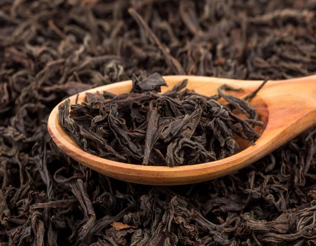 پیش‌بینی تولید ۱۱.۸ هزار تن چای خشک در کشور