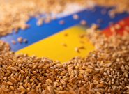 ۲۲۰هزار تن غلات از اوکراین صادر شد