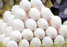 افزایش 127 درصدی صادرات تخم مرغ در دولت سیزدهم