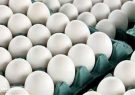 رشد 5 درصدی تولید ماهانه تخم مرغ