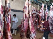 سود بازرگانی انواع گوشت قرمز صفر اعلام شد