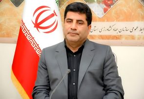 یک درصد عوارض واردات نهاده دامی به بخش دام داده شد