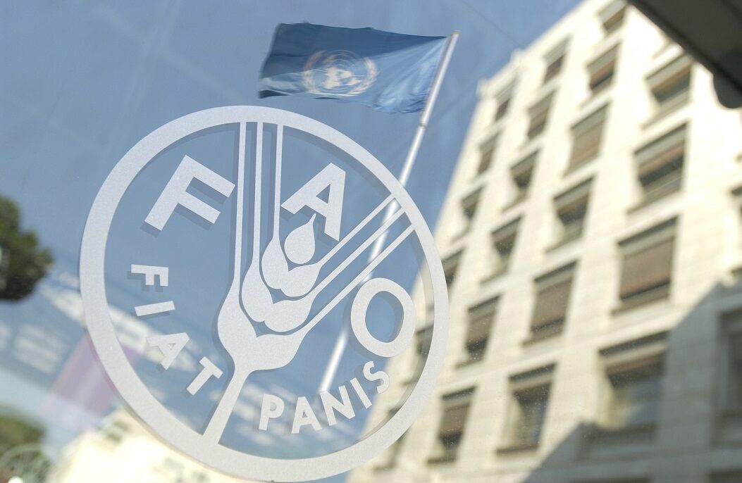 قیمت جهانی مواد غذایی کاهش بیشتری یافت | پایگاه خبری اقتصاد سبز آنلاین